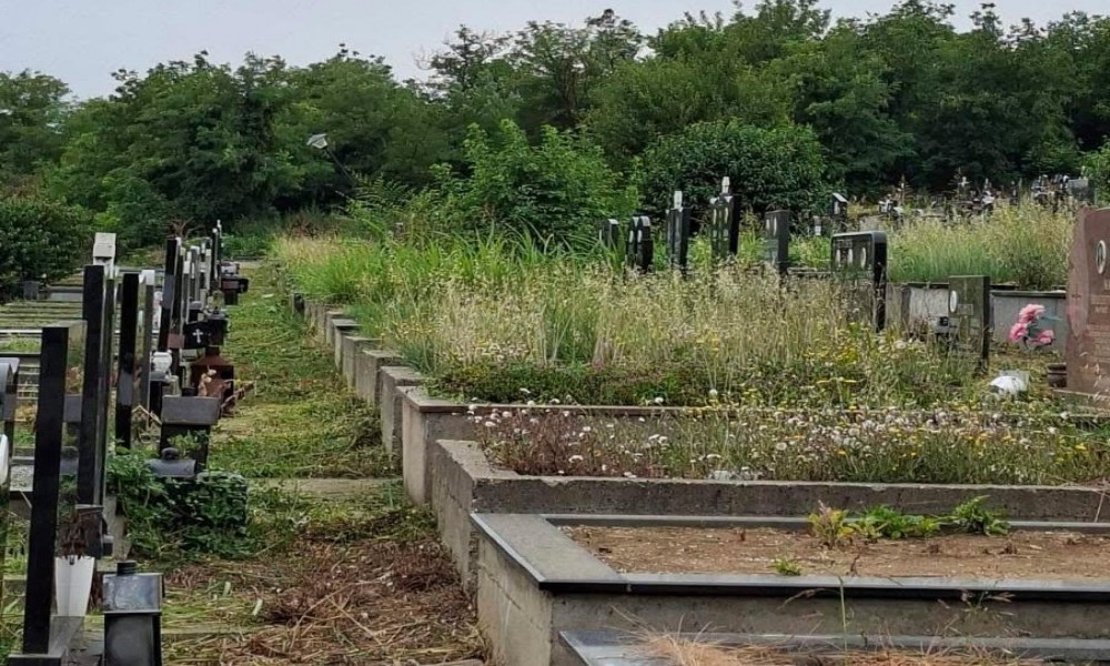 JKP: Za održavanje pojedinačnih grobnih mesta odgovorni su korisnici