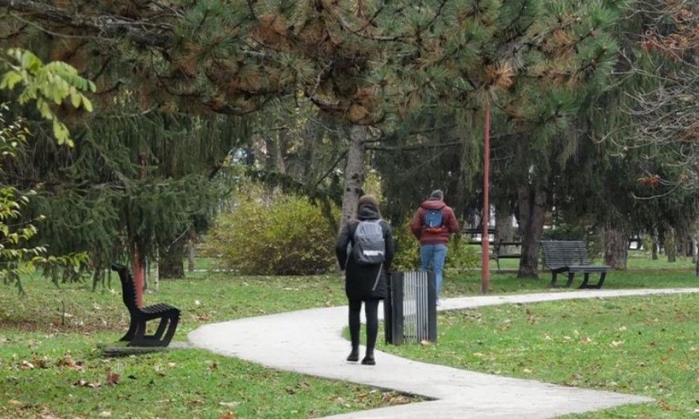 Srpska dijaspora - čuvanje identiteta van matice