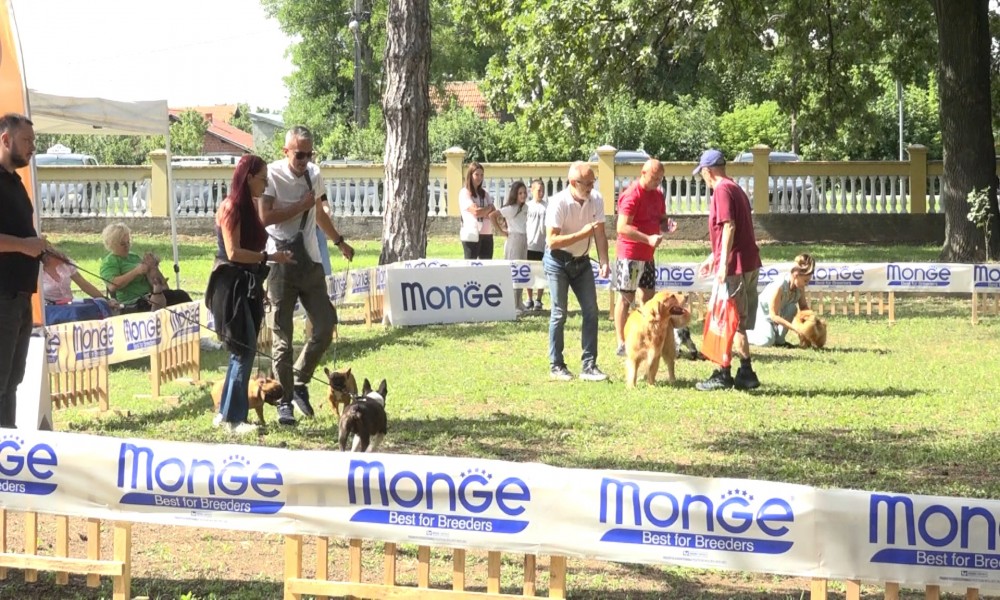 Počele prateće manifestacije Ljubičevskih konjičkih igara