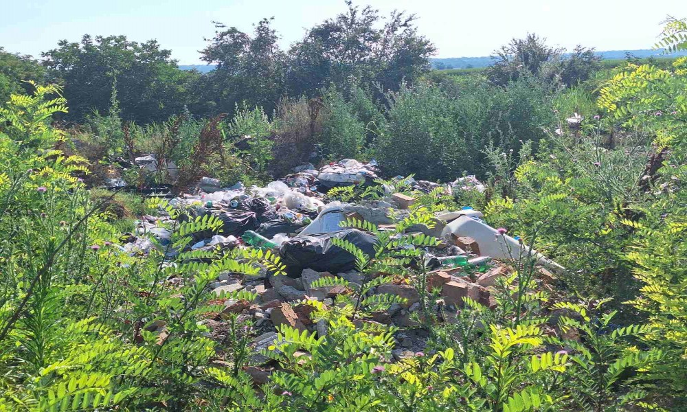 Nastavljena akcija uklanjanja divljih deponija: Očišćeno devet lokacija u Požarevcu i okolnim selima