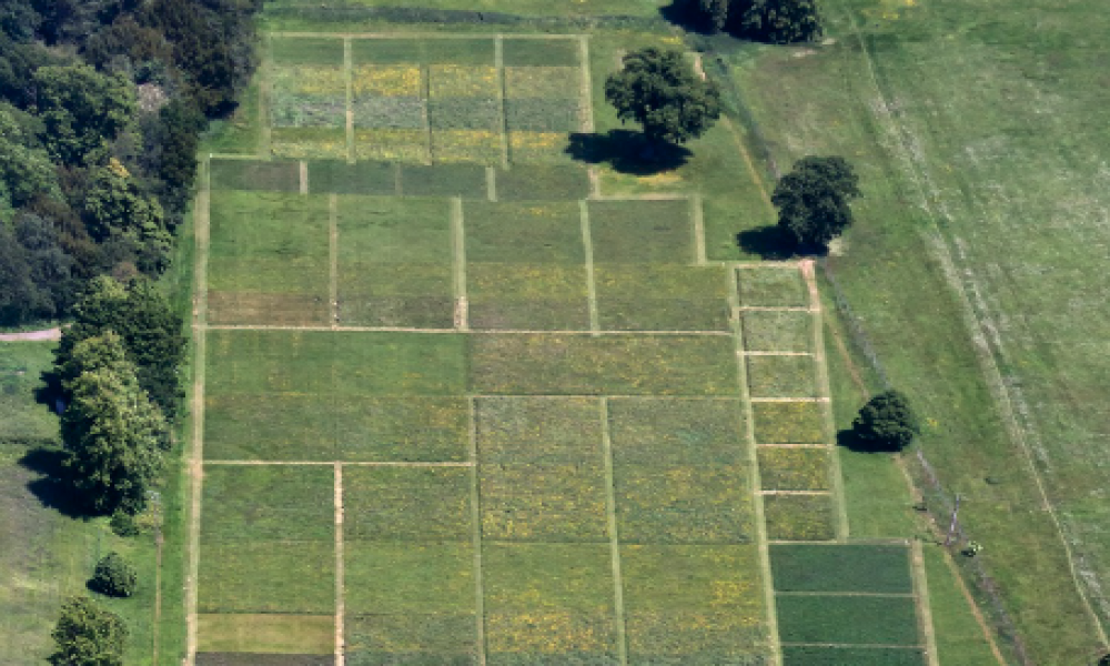 Eksperiment dug 170 godina otkriva kako đubrenje menja zemljište i biodiverzitet