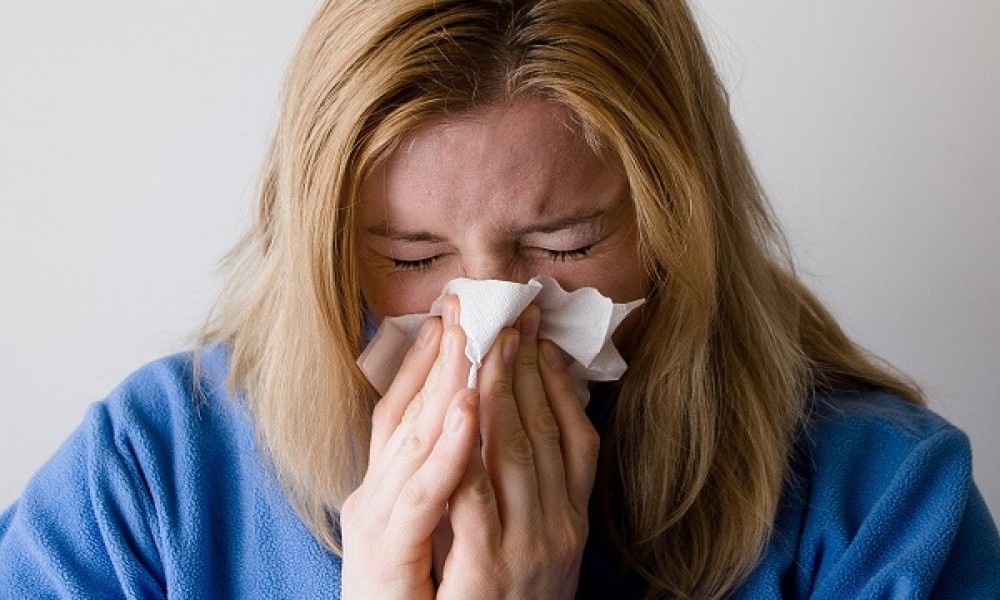 Aktuelna epidemiološka situacija gripa u sezoni 2024 - 2025.